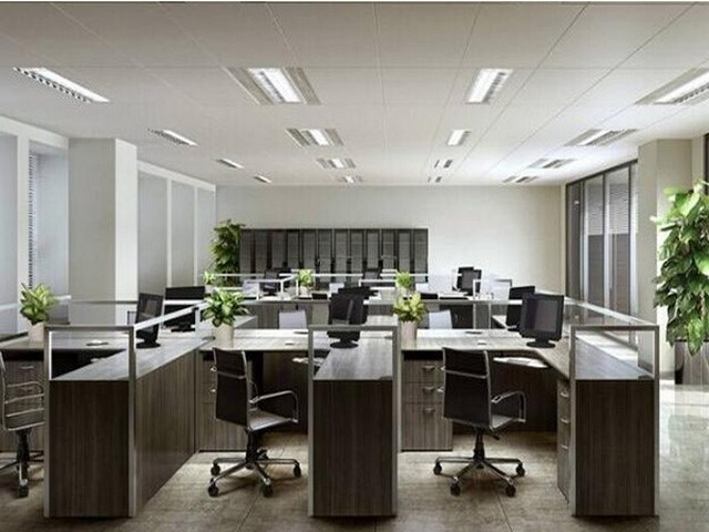 南山区新版红旗H5